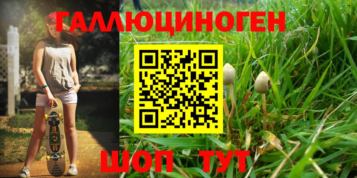 Псилоцибиновые грибы GOLDEN TEACHER  Вход с VPN  что такое наркотик  Березники 