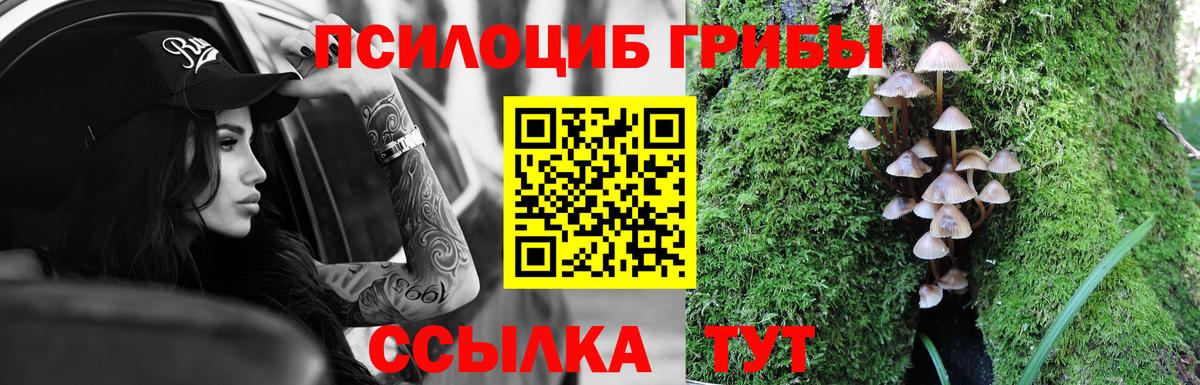 Псилоцибиновые грибы Magic Shrooms Березники